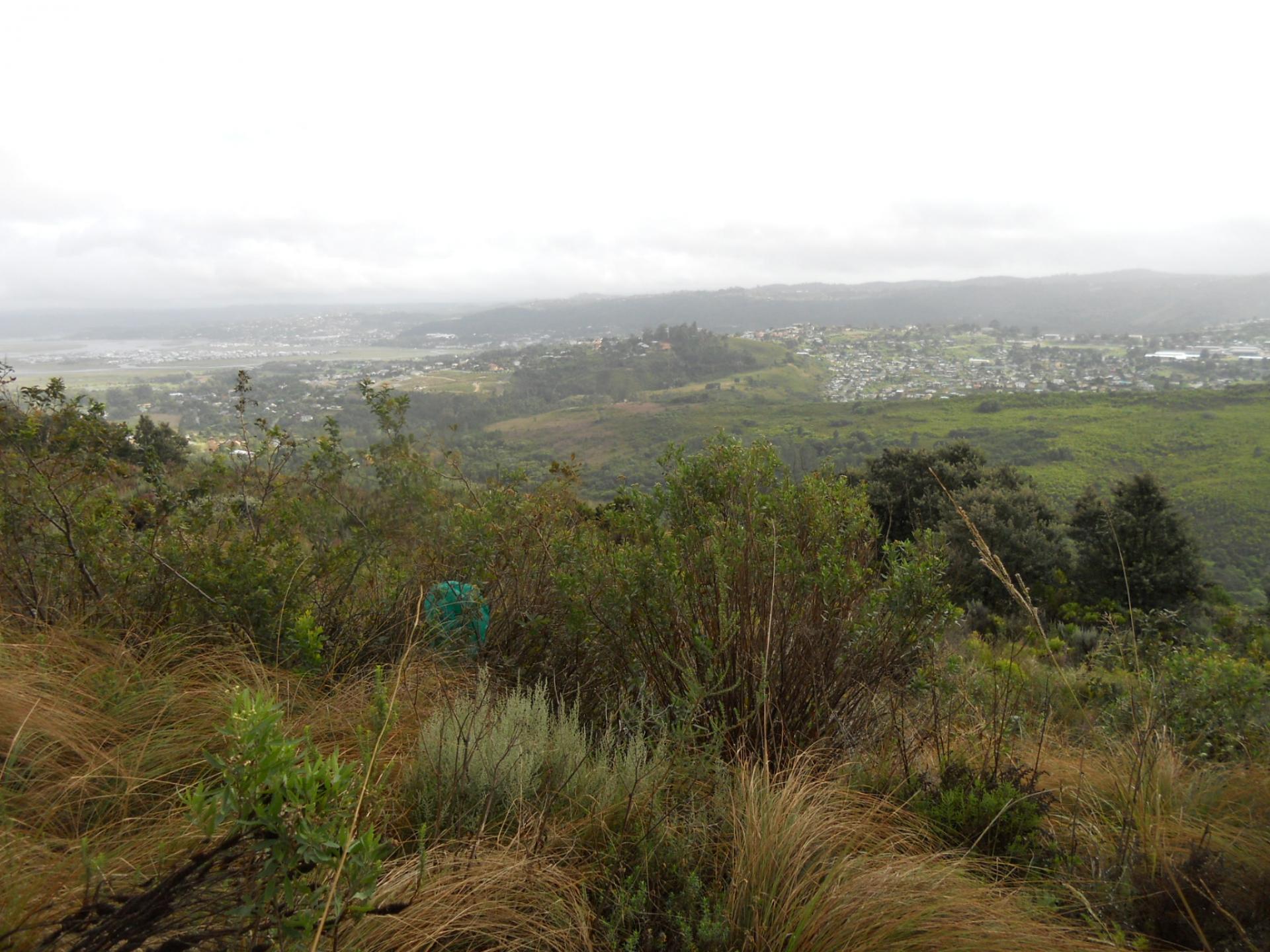 Land for Sale For Sale in Knysna Private Sale MR110152