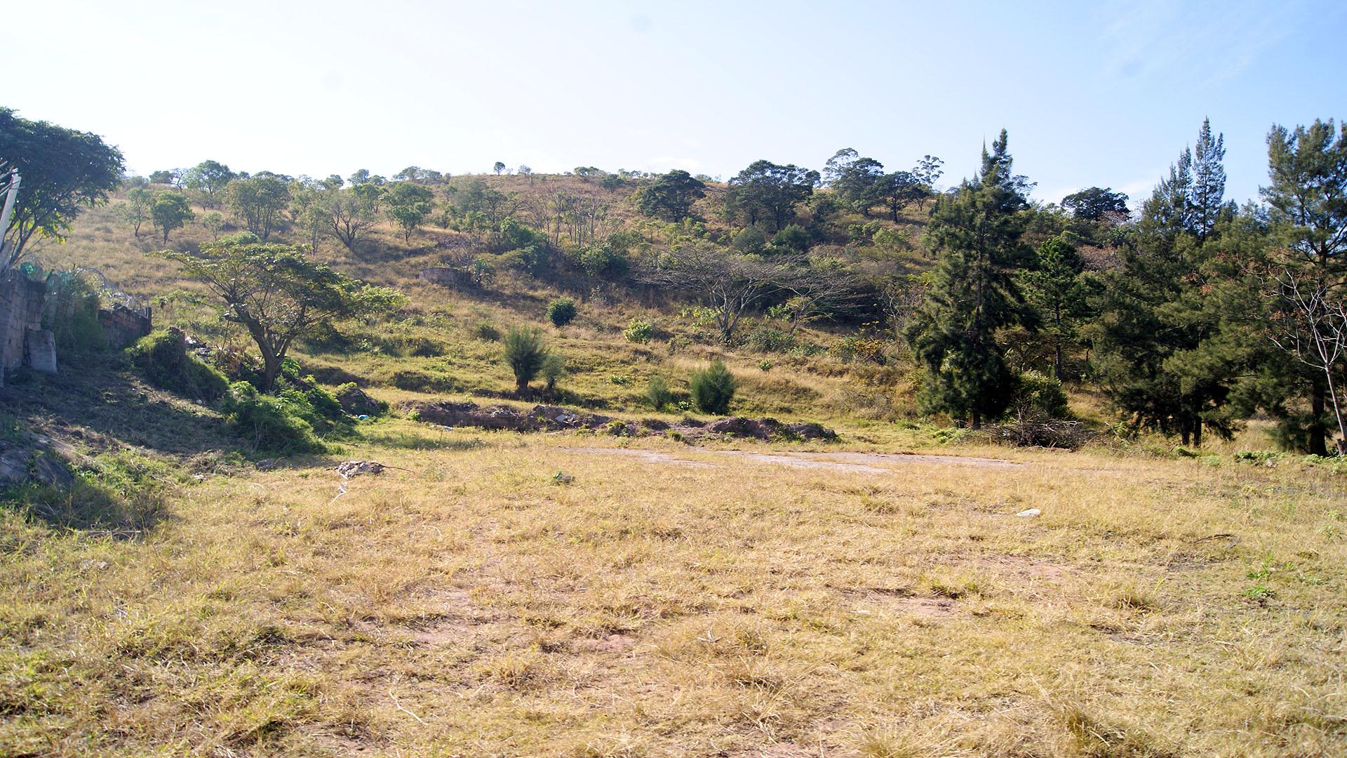 Smallholding for Sale For Sale in Cliffdale Private Sale