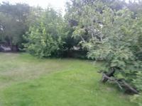 Backyard of property in Vryheid