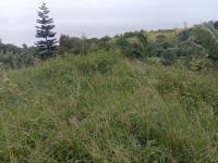  of property in Glen Hills (Stanger)