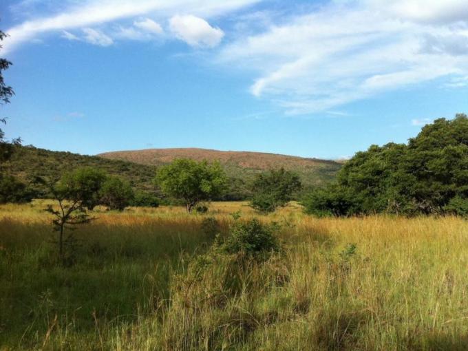 Land for Sale For Sale in Modimolle (Nylstroom) - MR580781