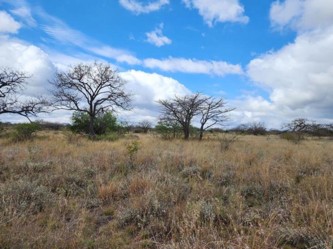 Farm for Sale For Sale in Polokwane - MR581467