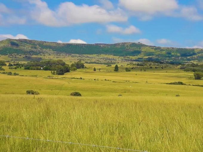 Houses For Sale in Newcastle MyRoof.co.za