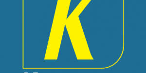 Logo of Kingstons real estate