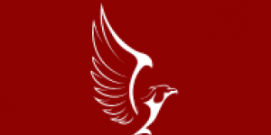 Logo of Sibanyoni Real Estate