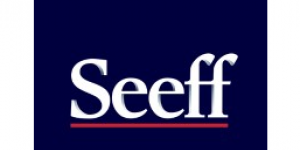 Logo of Seeff Soweto