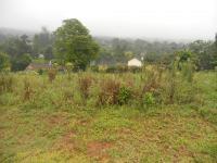 Front View of property in Town Bush Valley