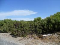 Front View of property in Agulhas