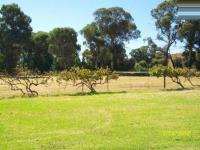 Backyard of property in Heidelberg - GP