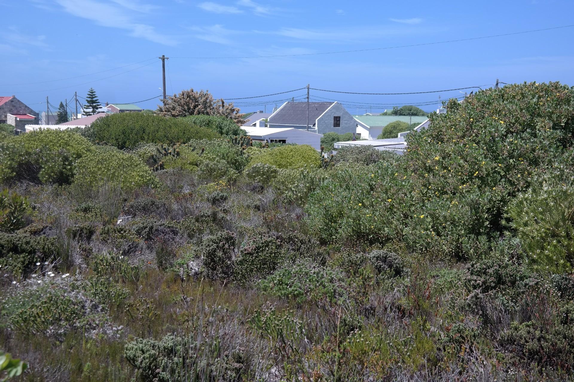 Front View of property in Struis Bay