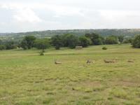 Front View of property in Boschkop