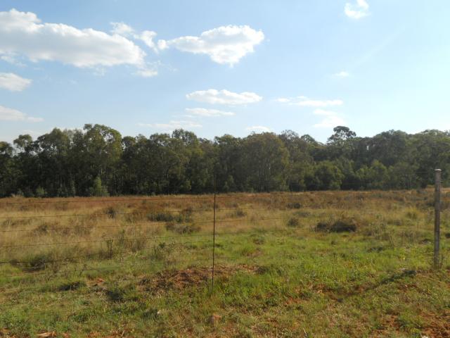 Smallholding for Sale For Sale in Heidelberg - GP - Private Sale - MR088283