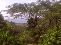 Backyard of property in Hibberdene