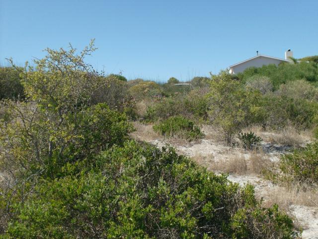 Land for Sale For Sale in Langebaan - Home Sell - MR089209