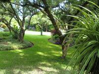 Backyard of property in White River