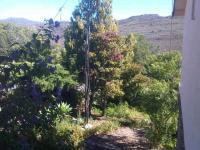 Backyard of property in Barrydale