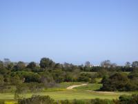 Garden of property in Shelley Point