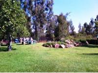 Backyard of property in Dullstroom