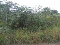 Land for Sale for sale in Howick