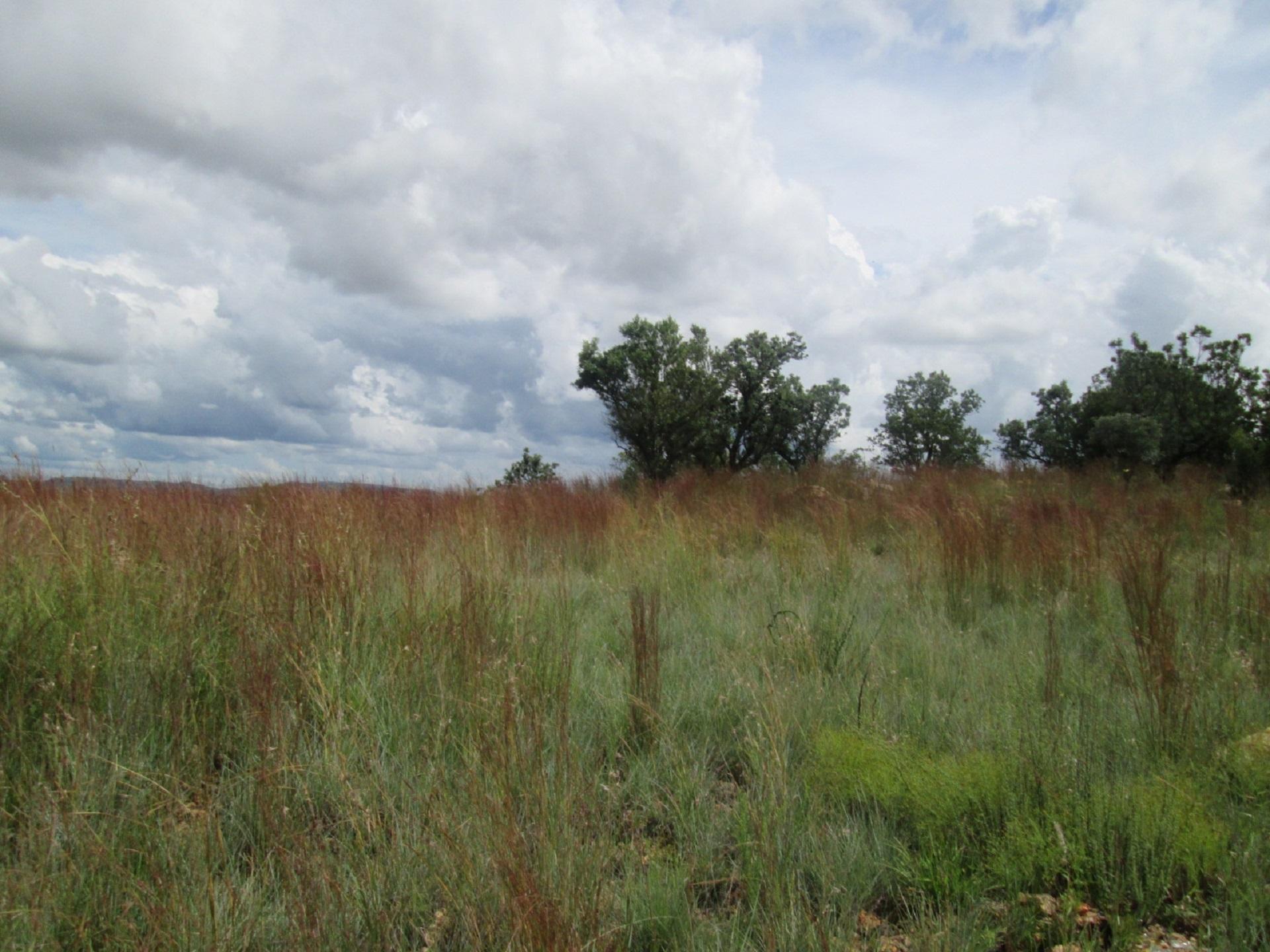 Front View of property in Vaal Oewer