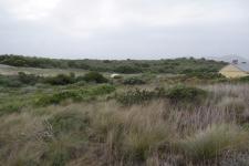 Backyard of property in Pearly Beach