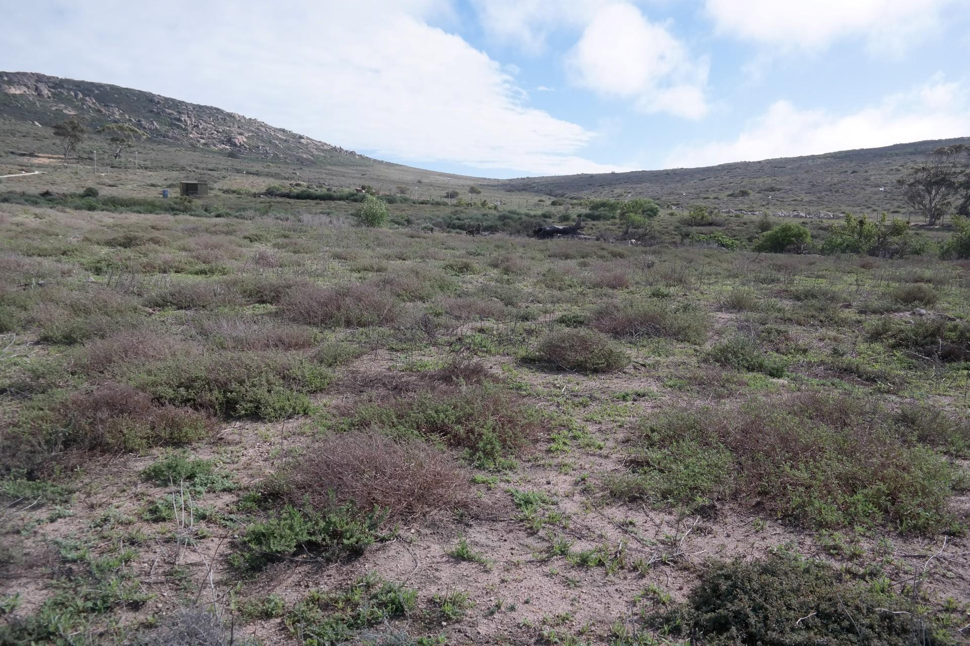 Front View of property in St Helena Bay