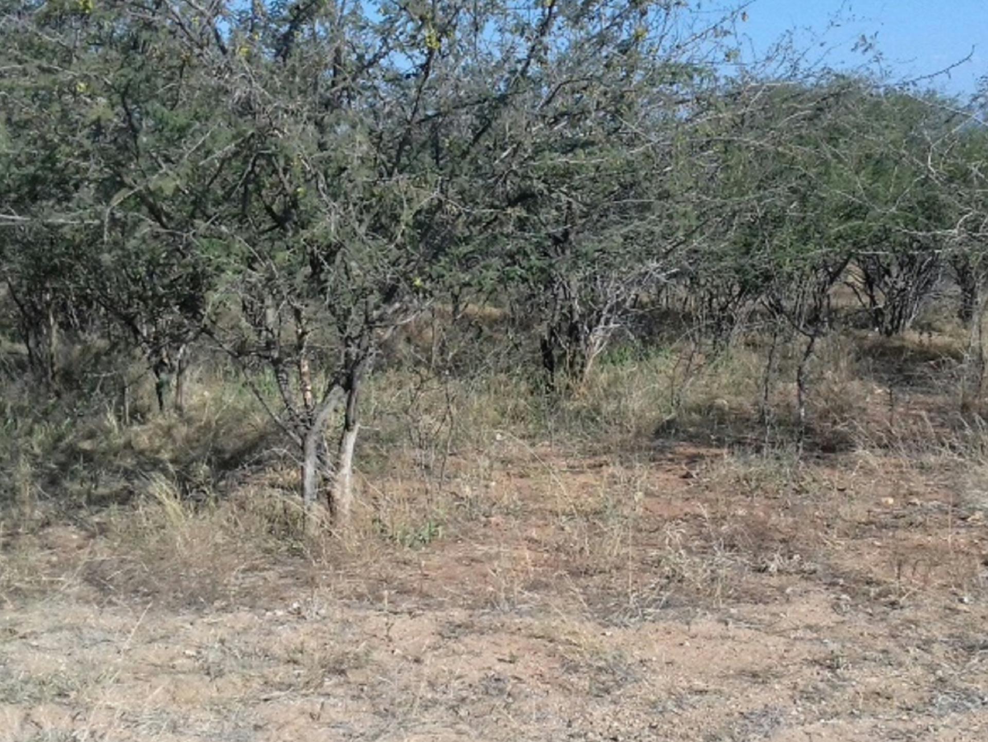 Front View of property in Hoedspruit