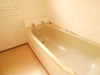 Main Bathroom - 5 square meters of property in Walkerville