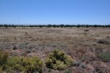 Front View of property in Darling