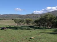 Backyard of property in Papiesvlei