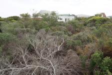 Front View of property in Bettys Bay