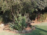 Garden of property in Middelburg - MP