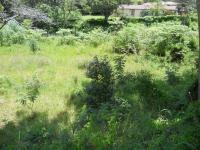 Land for Sale for sale in Westville 