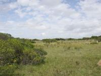 Front View of property in Bushmans River