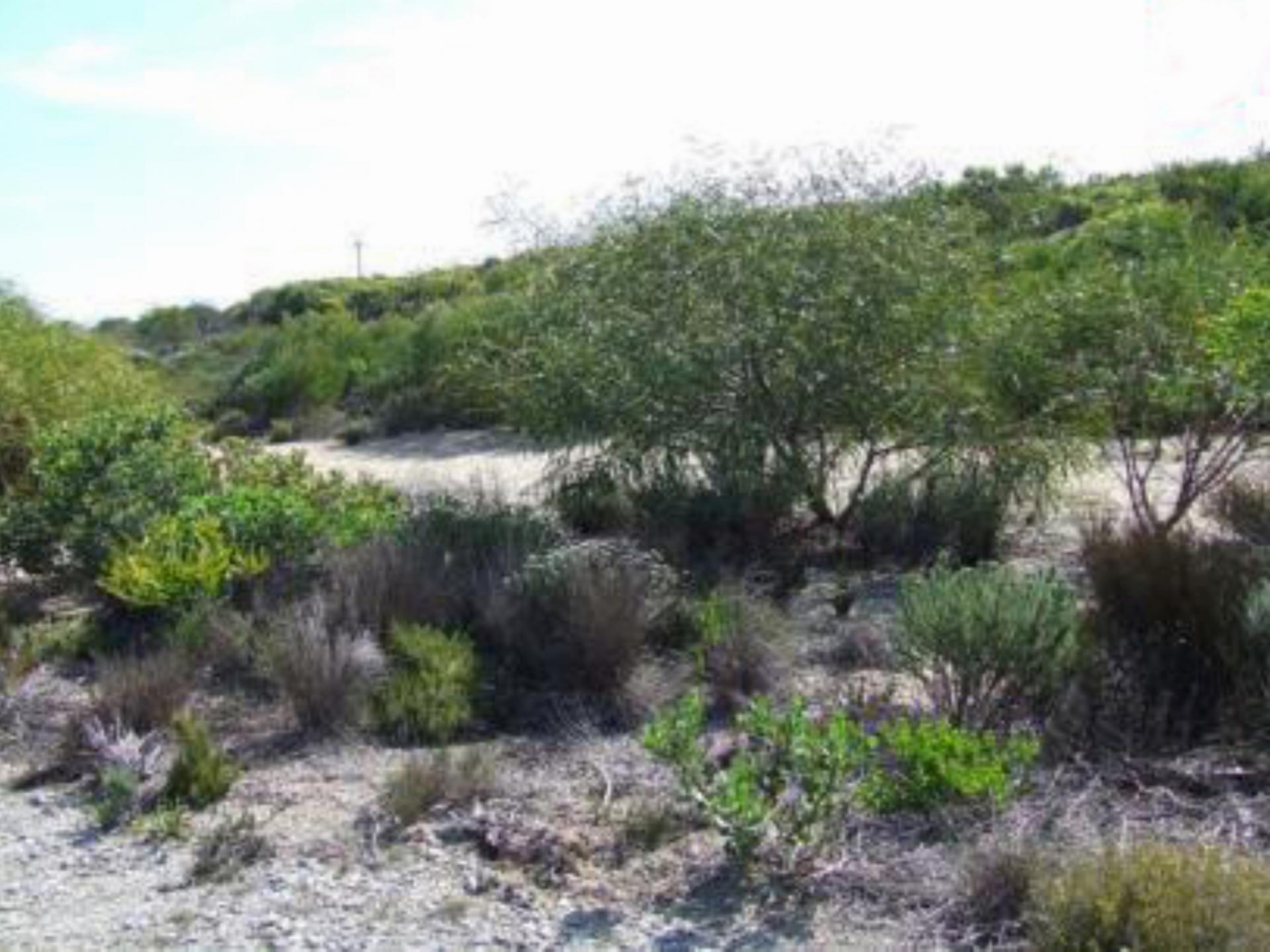 Front View of property in Struis Bay