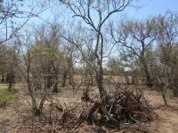 Land for Sale for sale in Hoedspruit