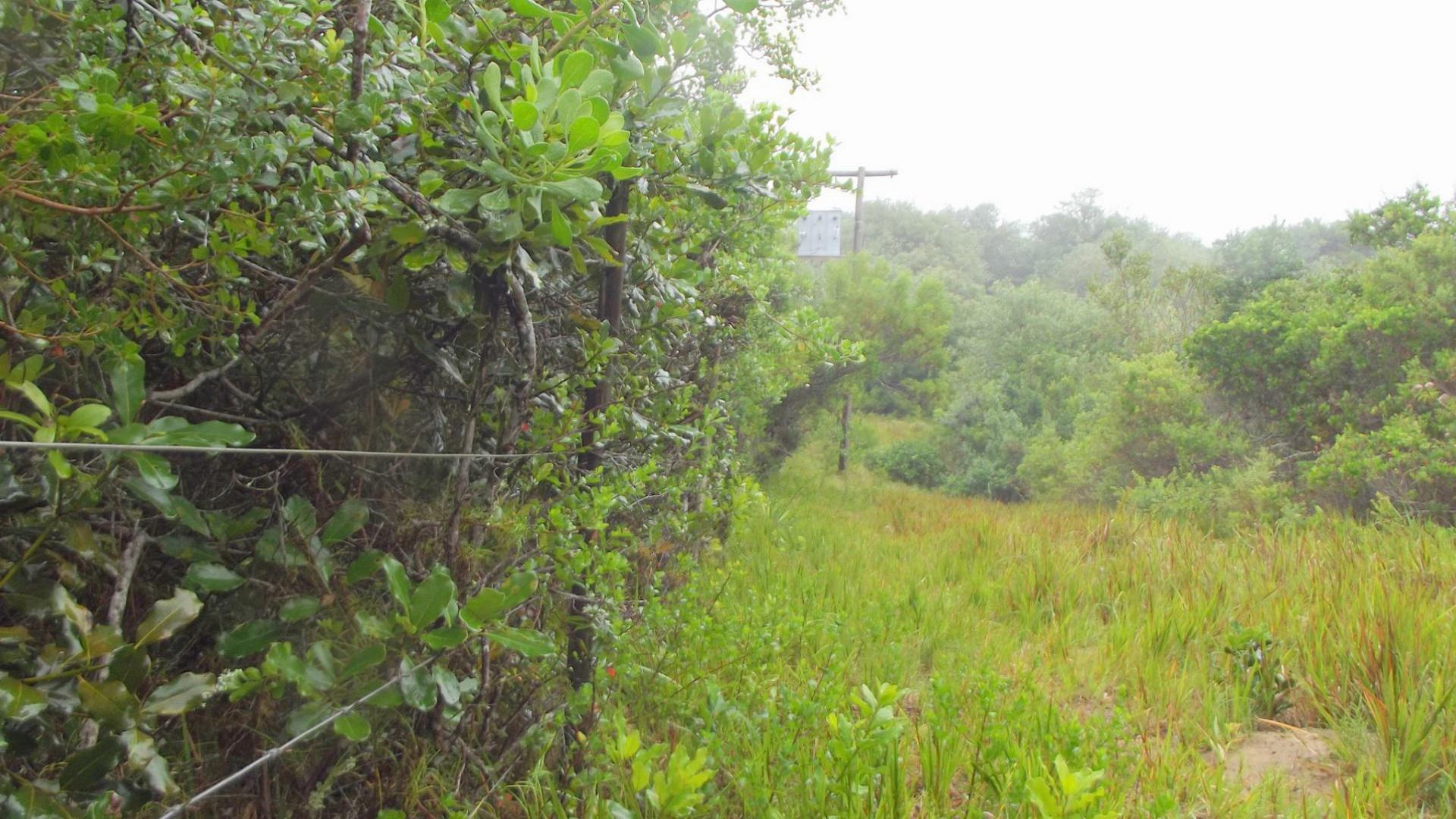 Front View of property in Cannon Rocks