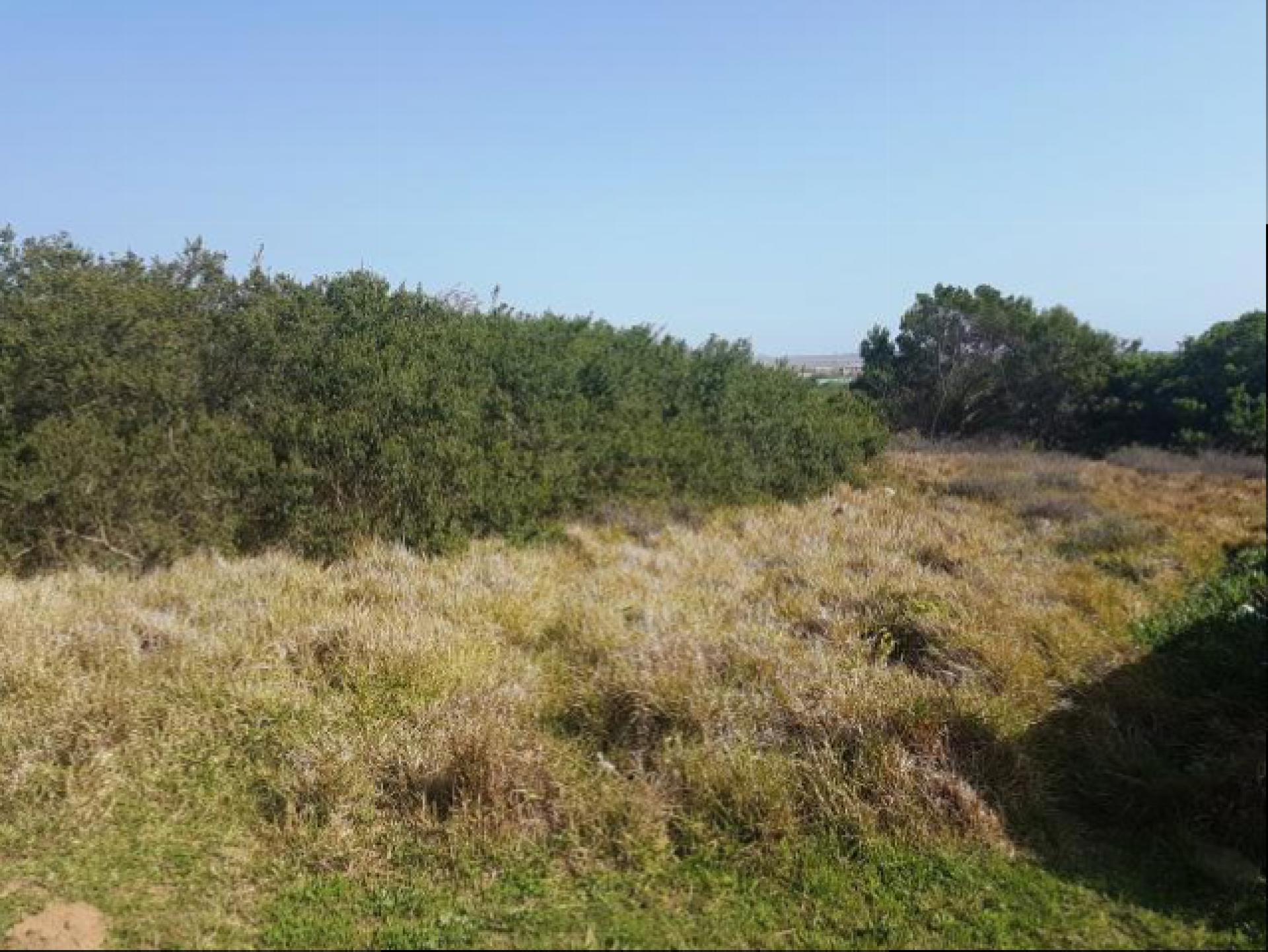 Front View of property in Bushmans River