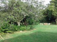 Backyard of property in Pretoria Rural