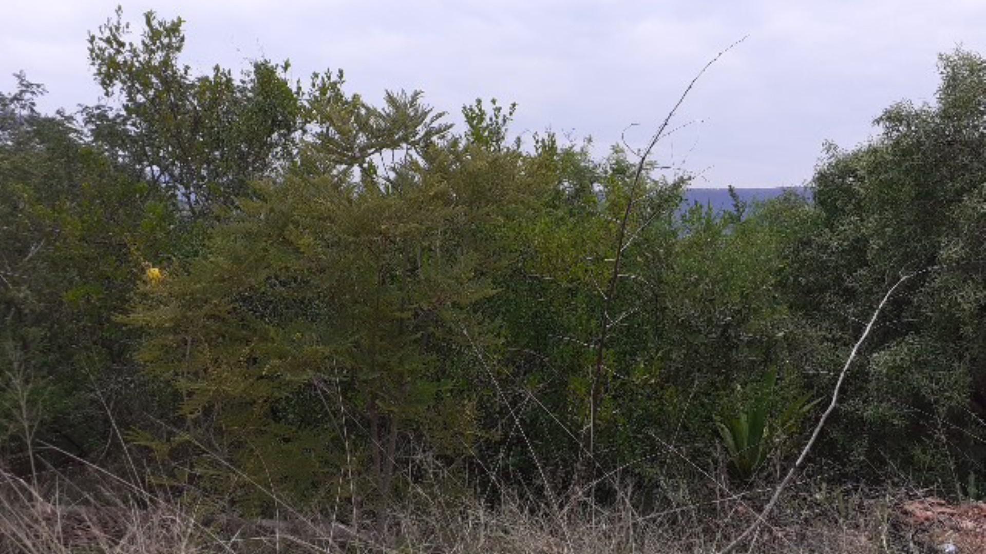 Front View of property in Lydenburg