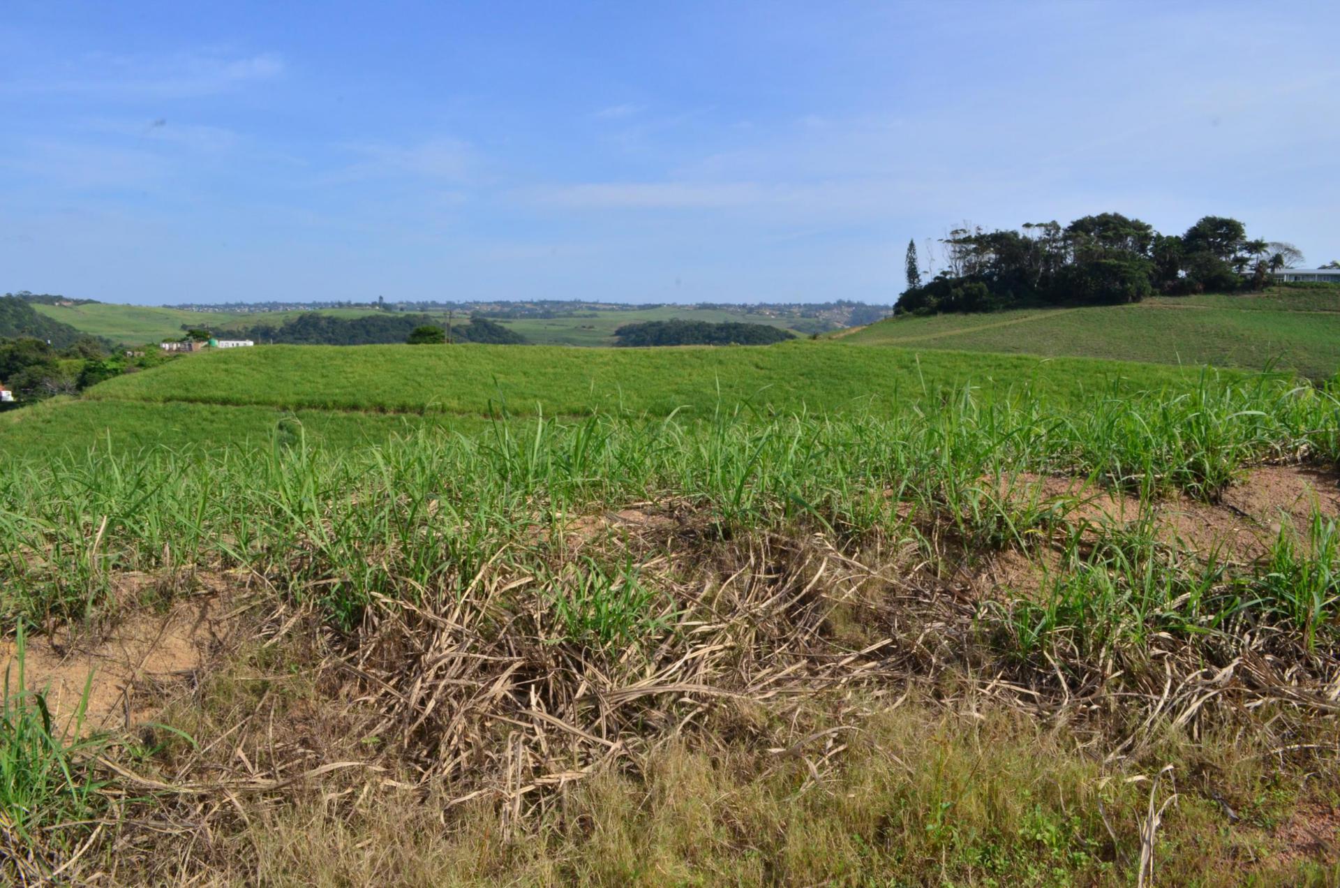 Front View of property in Elysium