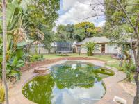 Backyard of property in Terenure