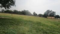 Backyard of property in Mooilande AH