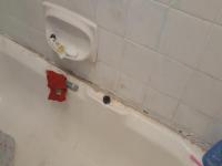 Bathroom 1 - 5 square meters of property in Glenmarais (Glen Marais)