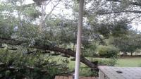 Backyard of property in Sabie