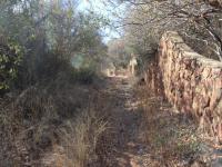 Front View of property in Protea Park (North West)