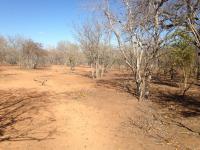 Front View of property in Marloth Park