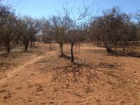 Front View of property in Marloth Park