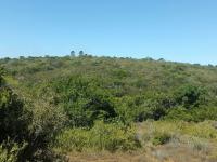  of property in Uitenhage Rural