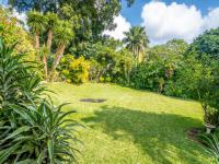 Backyard of property in Kloof 